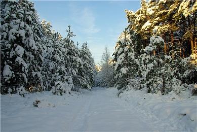 特斯拉预热大规模人工智能芯片 8月20日揭晓